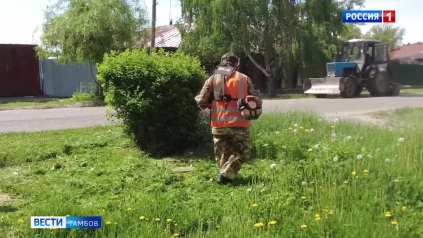Покос травы ведут на улице Ленинградской