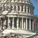 Сенат поддержал антитрамповскую резолюцию