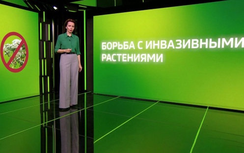 Инвазивные растения