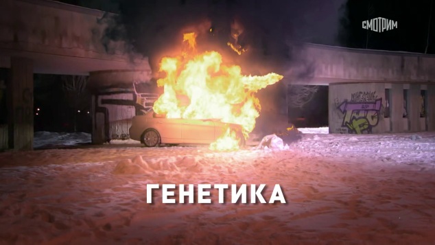 Генетика