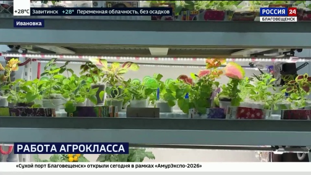 От анализа молока до выращивания овощей: как в Приамурье готовят будущих аграриев