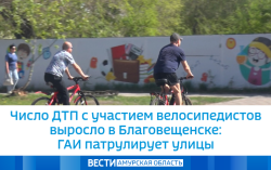 Число ДТП с участием велосипедистов выросло в Благовещенске: ГАИ патрулирует улицы