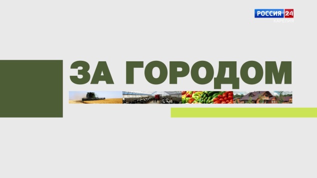 «За городом». 20.05.26