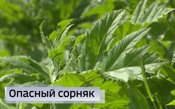 Эфир от 21.05.2026 (09:30)