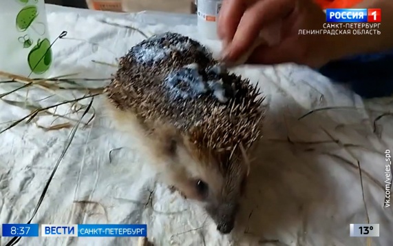 Эфир от 22.05.2026 (08:35)