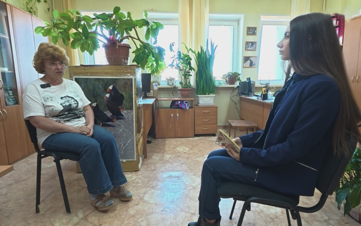 Магадан снова столкнулся с проблемой чаек