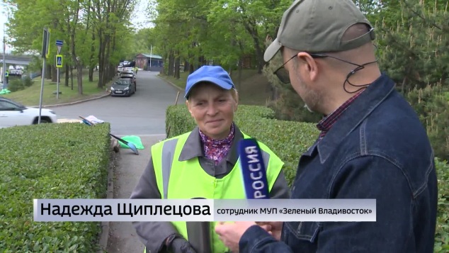 До полумиллиона цветов и разных саженцев высадят в этом сезоне на улицах Владивостока
