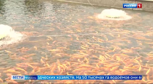 Эфир от 22.05.2026 (11:30)