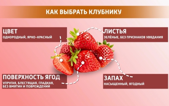 Ранние ягоды, дачные работы, простатит. Эфир 13.05.2026