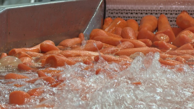 Волгоградское предприятие по переработке сельхозпродукции отмечает 35-летие
