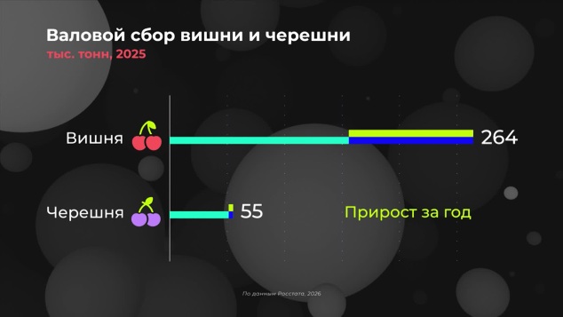Где выращиваем вишню и черешню?