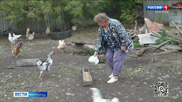 Белгородцы с начала года заключили более 2,5 тысячи соцконтрактов