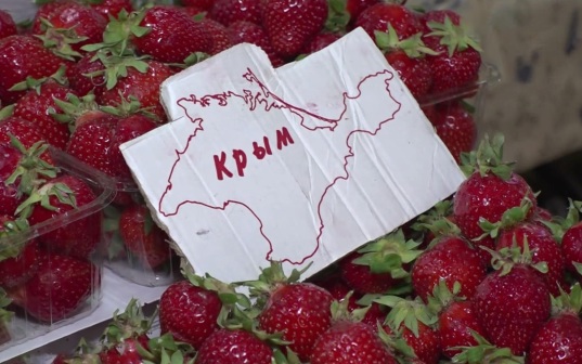 Эфир 24.05.2026 · 14:30