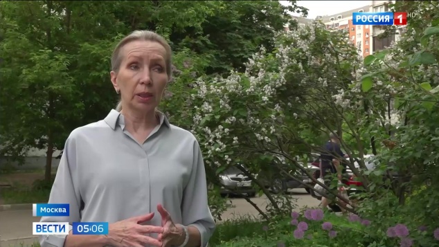 Эфир 25.05.2026