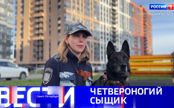 Эфир от 25.05.2026 (09:30)