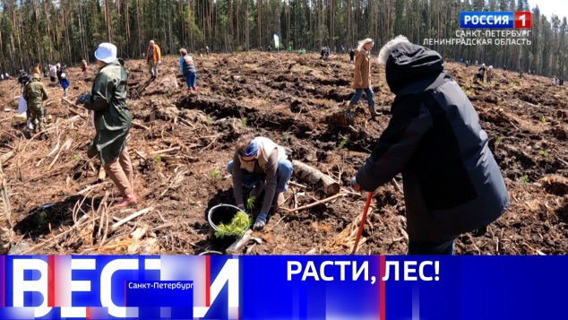 Эфир от 25.05.2026 (11:30)