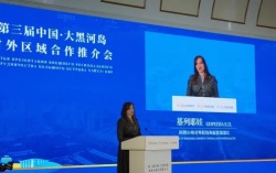 Амурская делегация представила в Хэйхэ канатную дорогу, газохимию и сухой порт