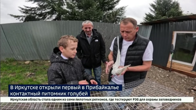 Полный контакт с птицами. В Иркутске открыли первый в регионе питомник голубей