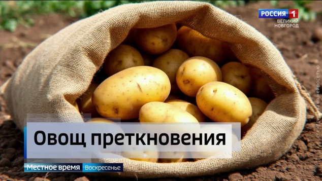 Эфир от 24.05.2026