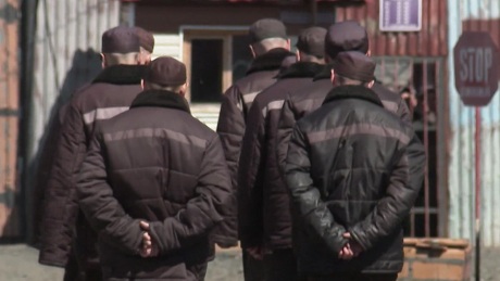 В Новосибирской области вынесли приговор смотрящему за распространение экстремистской идеологии