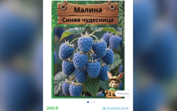 Мошенники с помощью нейросетей продают несуществующие семена и саженцы