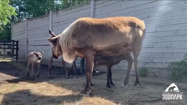 Эфир от 26.05.2026 (21:10)