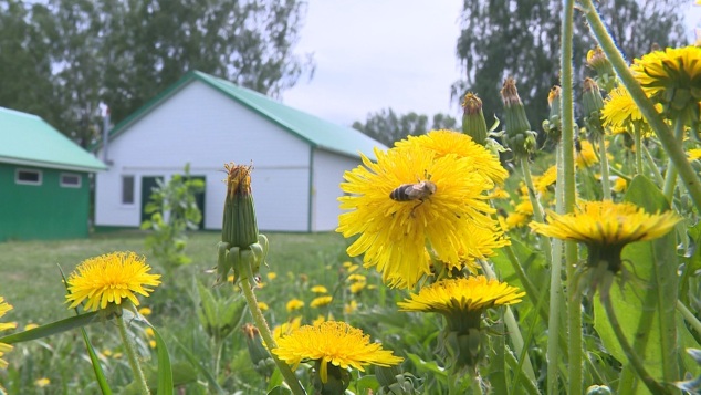 Эфир от 27.05.2026