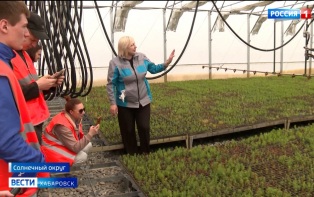 «Увидели, как рождается лес»: восстановить тайгу Хабаровского края помогут …роботы