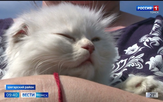 Эфир от 28.05.2026 (09:30)