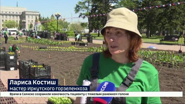 К высадке цветов на клумбах Иркутска приступили сотрудники Горзеленхоза