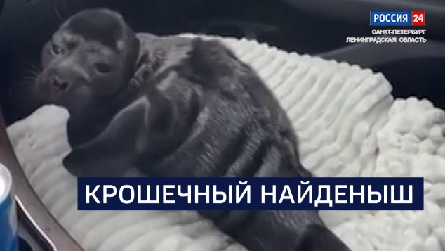 Эфир от 28.05.2026