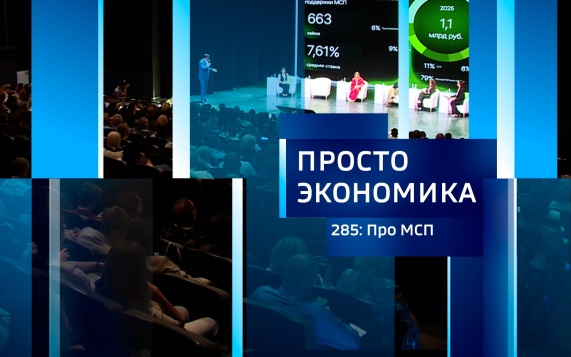 ПРОСТО ЭКОНОМИКА 285. Про МСП