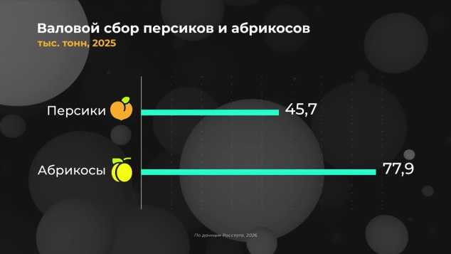 Россия в цифрах. Где выращиваем персики и абрикосы?