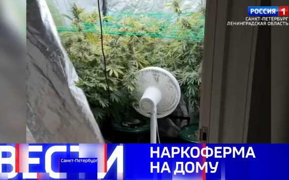 Эфир от 30.05.2026 (14:30)
