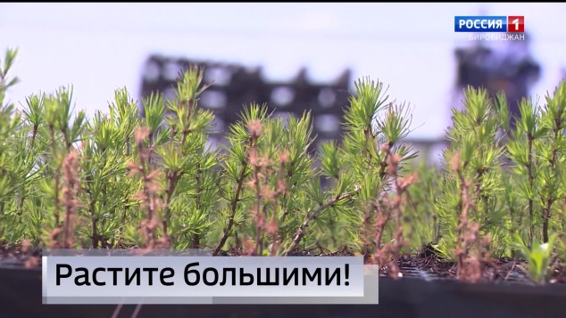 События недели 31.05.2026