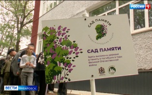 В крае вырастет ещё один «Сад памяти» – к Международной акции присоединились в Некрасовке