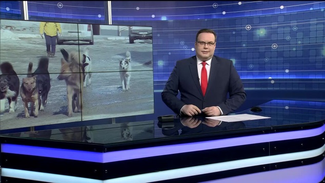 «Россия 24 — Карелия». 29.05.26