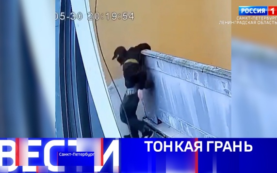 Эфир от 01.06.2026 (09:30)