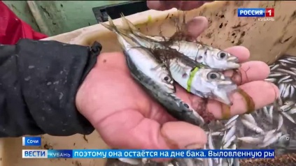 Эфир от 28.05.2026 (21:10)