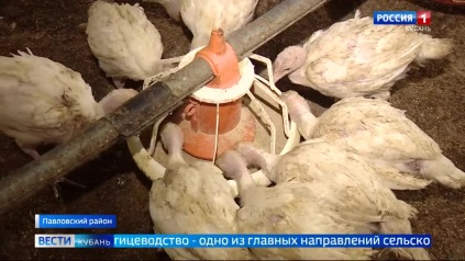 Эфир от 25.05.2026 (11:30)