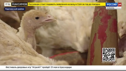 Эфир от 25.05.2026 (17:30)