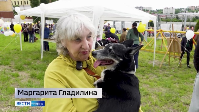 На Полугоре куряне могли пообщаться с собаками из приюта