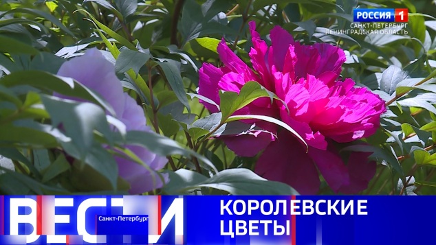 Эфир от 03.06.2026 (09:30)