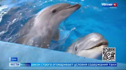 Эфир от 03.06.2026 (11:30)