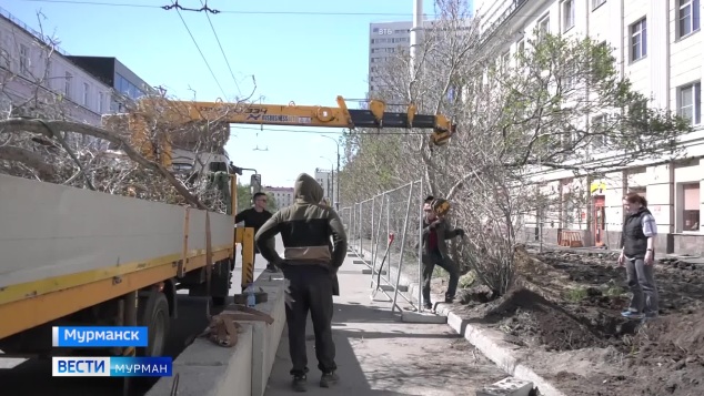 Эфир от 03.06.2026