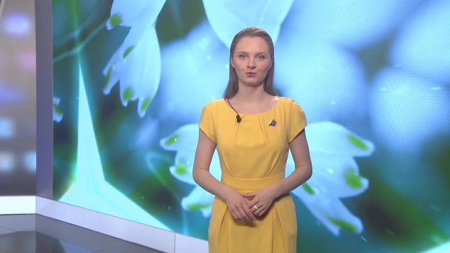 Эфир от 04.06.2026
