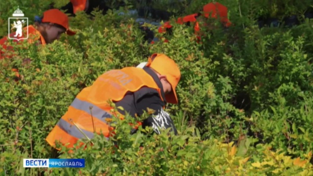 Эфир от 04.06.2026 (09:30)