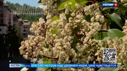 Эфир от 04.06.2026 (11:30)