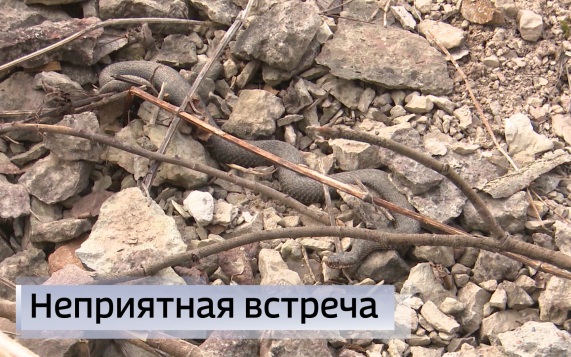 Эфир от 03.06.2026 (11:30)