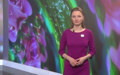 Эфир от 05.06.2026